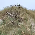 6 Person In Harboore *
