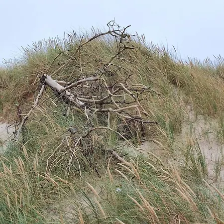 6 Person In Harboore *